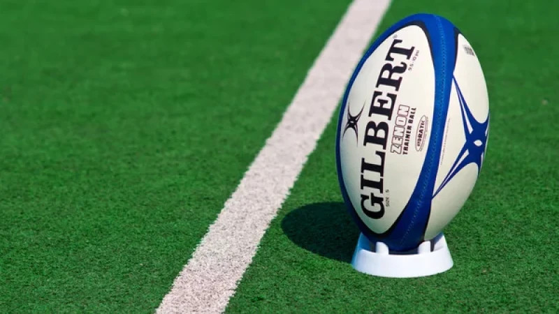 Rugby stock