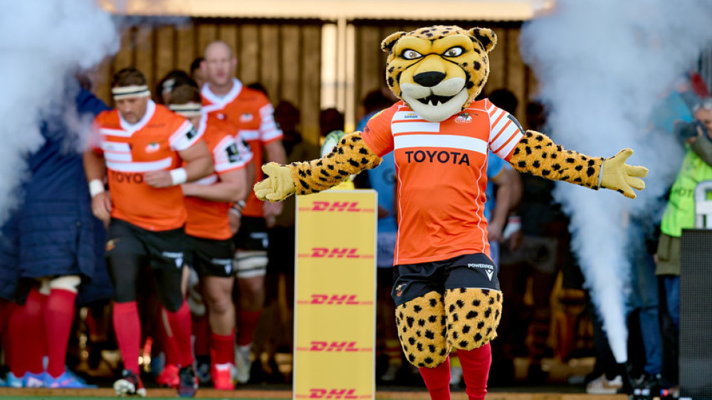 Toyota Cheetahs Foto: Rugby Shots