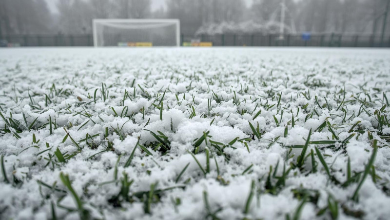 veld met sneeuw / AI Canva afbeelding